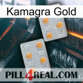 Kamagra Gold 25